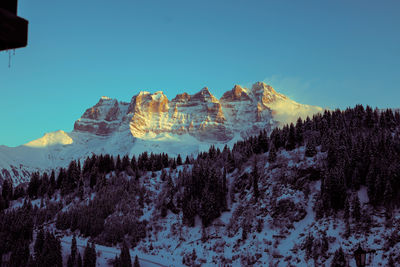 mountain