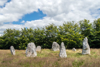 View of trees on field against sky