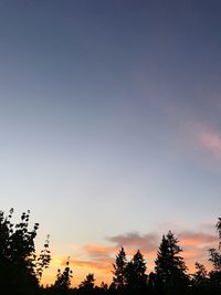 Low angle view of silhouette trees against sky during sunset