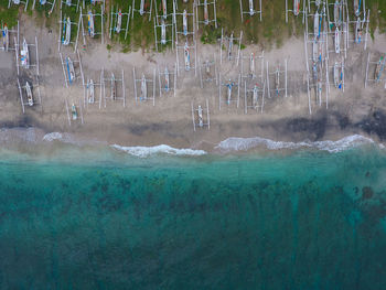 Aerial view of sea and trees