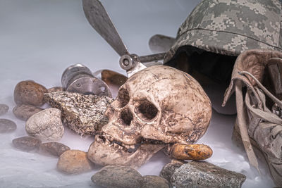 Close-up of human skull on rock