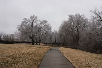 Road amidst bare trees against sky