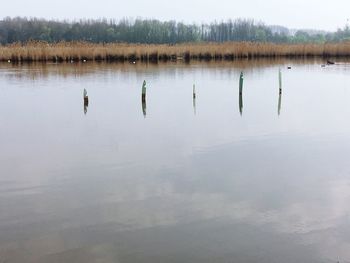 Scenic view of lake