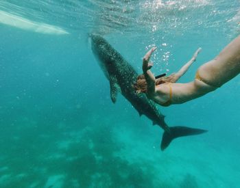 Woman swimming by fish in sea