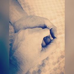 Close-up of cat relaxing on the wall