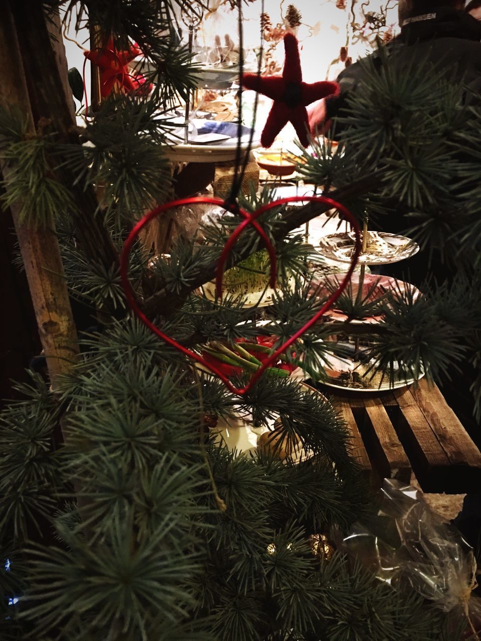 CLOSE-UP OF CHRISTMAS TREE IN NIGHT