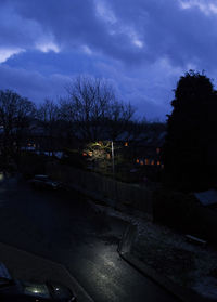 Bare trees against sky at night