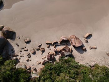 High angle view of crab on sand