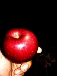 Close-up of hand holding apple