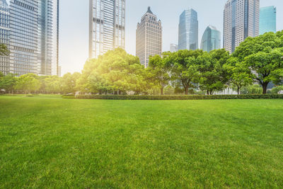 Trees growing in park against buildings in city