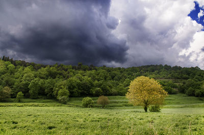 Scenic view of landscape against cloudy sky