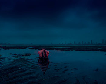 Rear view of woman standing at beach against sky