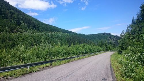 Country road leading towards mountains