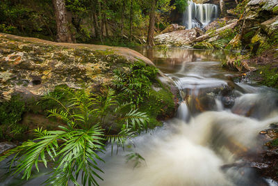 Stream flowing through rocks in forest