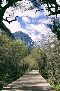 Footpath leading to mountain