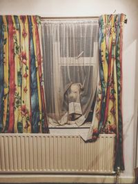 Close-up of clothes hanging on wall