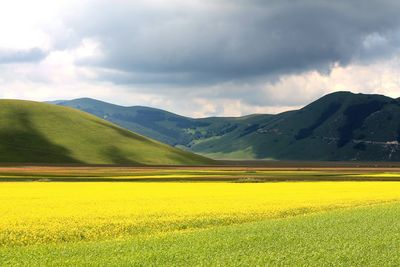 Scenic view of agricultural field against cloudy sky