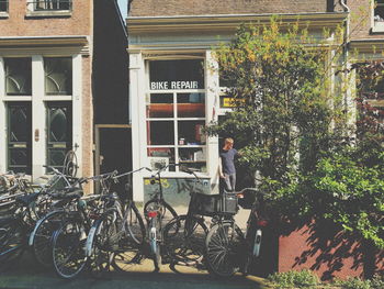 Plants in front of building