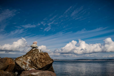 View of bird on rock against sea