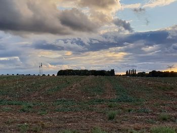 Scenic view of field against sky