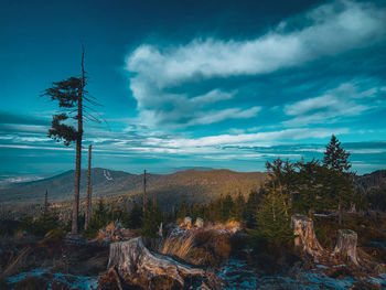 Scenic view of land against sky