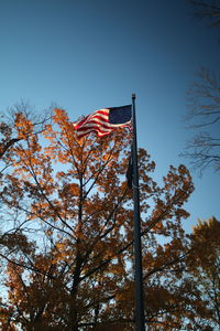 Low angle view of flag against clear sky