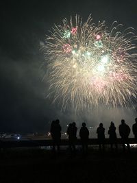 Silhouette people looking at firework display