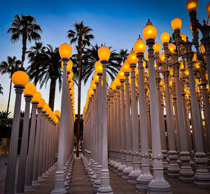 Street view of urban light. forest of city streetlights at lacma. museums of art