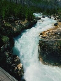 High angle view of waterfall in forest