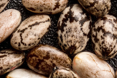 Chia seeds macro - 5x magnification