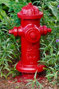 Close-up of red fire hydrant