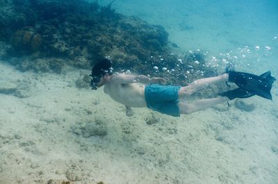 Shirtless man snorkeling in sea