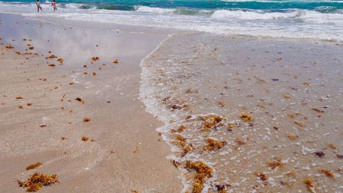 Scenic view of beach