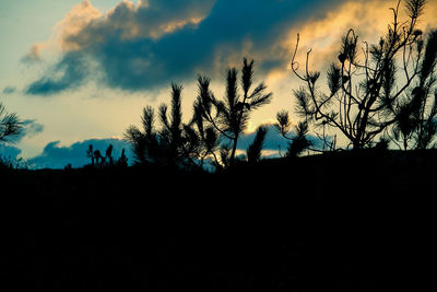 Low angle view of silhouette trees against sky at sunset