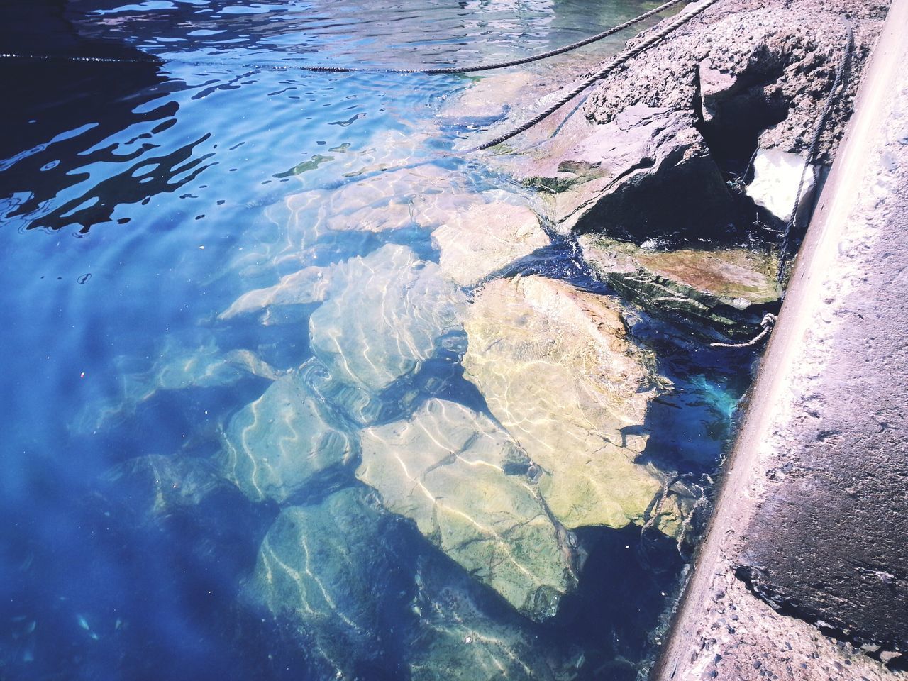 reflection, water, underwater, outdoors, day, one person, close-up, nature, people, undersea