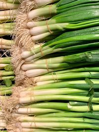 High angle view of scallions for sale in market