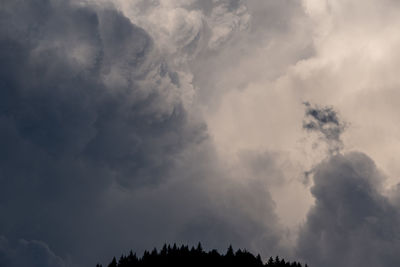 Low angle view of silhouette trees against sky