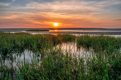 Scenic view of sea against sky during sunset