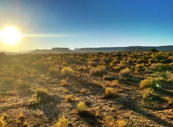 Scenic view of landscape against clear sky