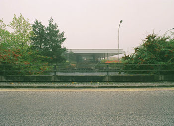 Road along trees