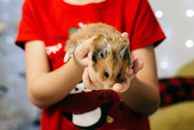 Midsection of woman holding mouse