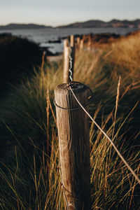 Close-up of wooden post on field