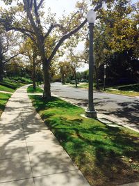 Empty road in park