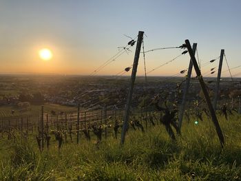 Scenic view of field against sky during sunset