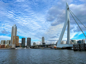 Panoramic view over the city of rotterdam 