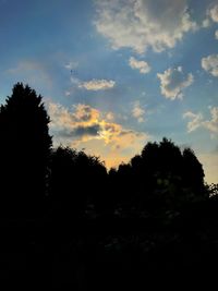 Silhouette trees and plants against sky during sunset