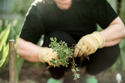 Midsection of man holding plant