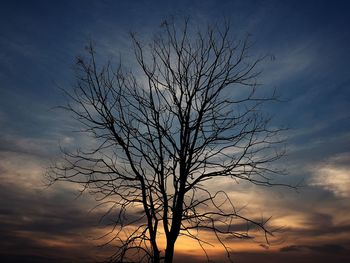 Low angle view of silhouette bare tree against sky at sunset