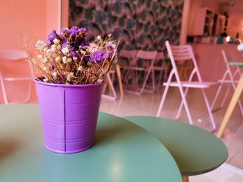 Close-up of potted plant on table