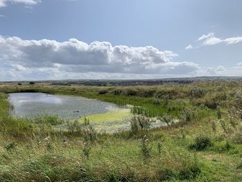 Scenic view of field against sky